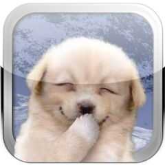 买中巴西7:1波胆,45岁荷兰男子赢13,700,000港